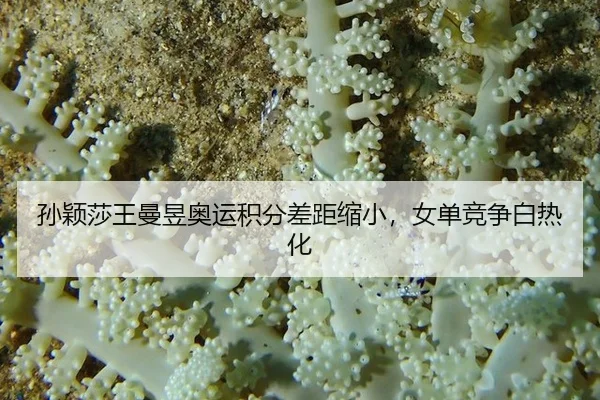sun-ying-sha-wang-man-yu-ao-yun-ji-fen-cha-ju-suo-xiao-nv-dan-jing-zheng-bai-re-hua-2-435.jpg