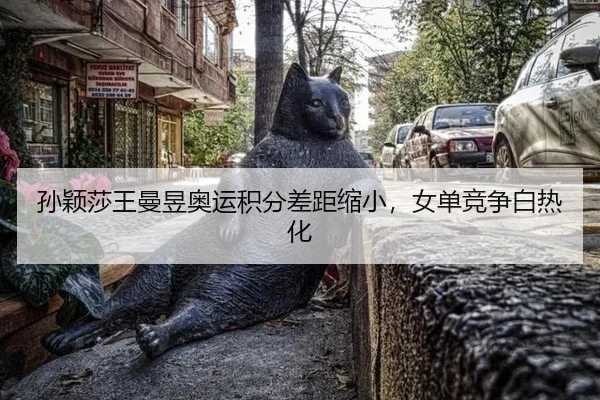 sun-ying-sha-wang-man-yu-ao-yun-ji-fen-cha-ju-suo-xiao-nv-dan-jing-zheng-bai-re-hua-3-761.jpg