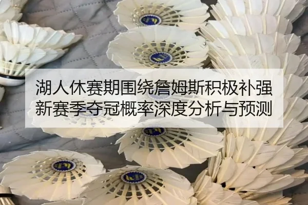 湖人休赛期围绕詹姆斯积极补强 新赛季夺冠概率深度分析与预测